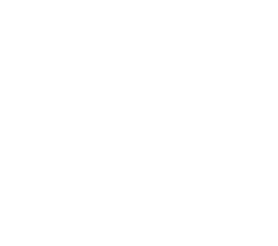 Opsilon Instruments